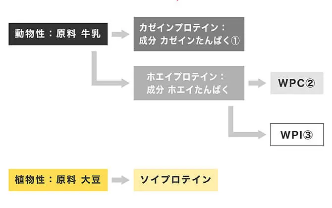 原料によるプロテインの種類