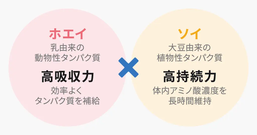 Wタンパク質