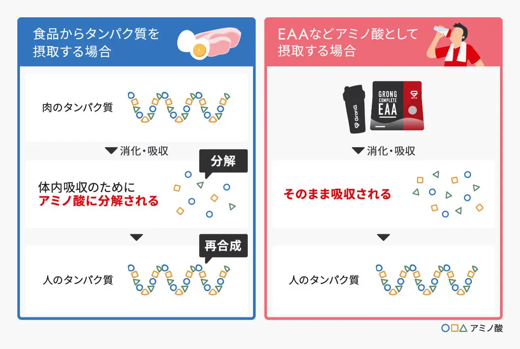 アミノ酸のメリット