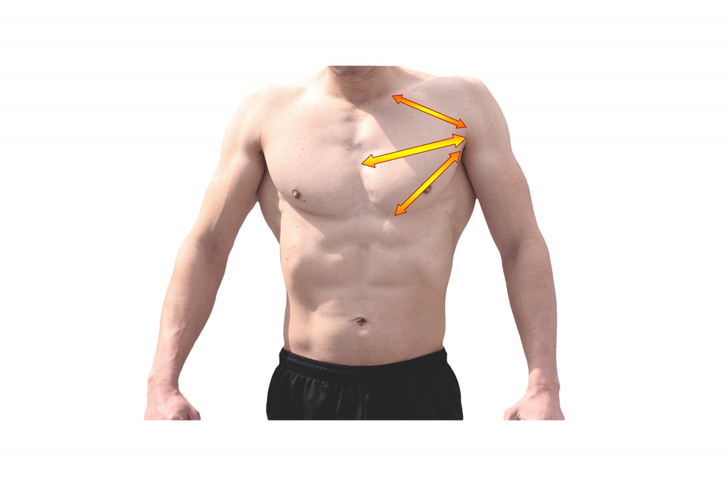 ホームトレで理想の男らしい胸板 大胸筋 をつくる８つのトレーニング方法 Grong グロング公式ブログ