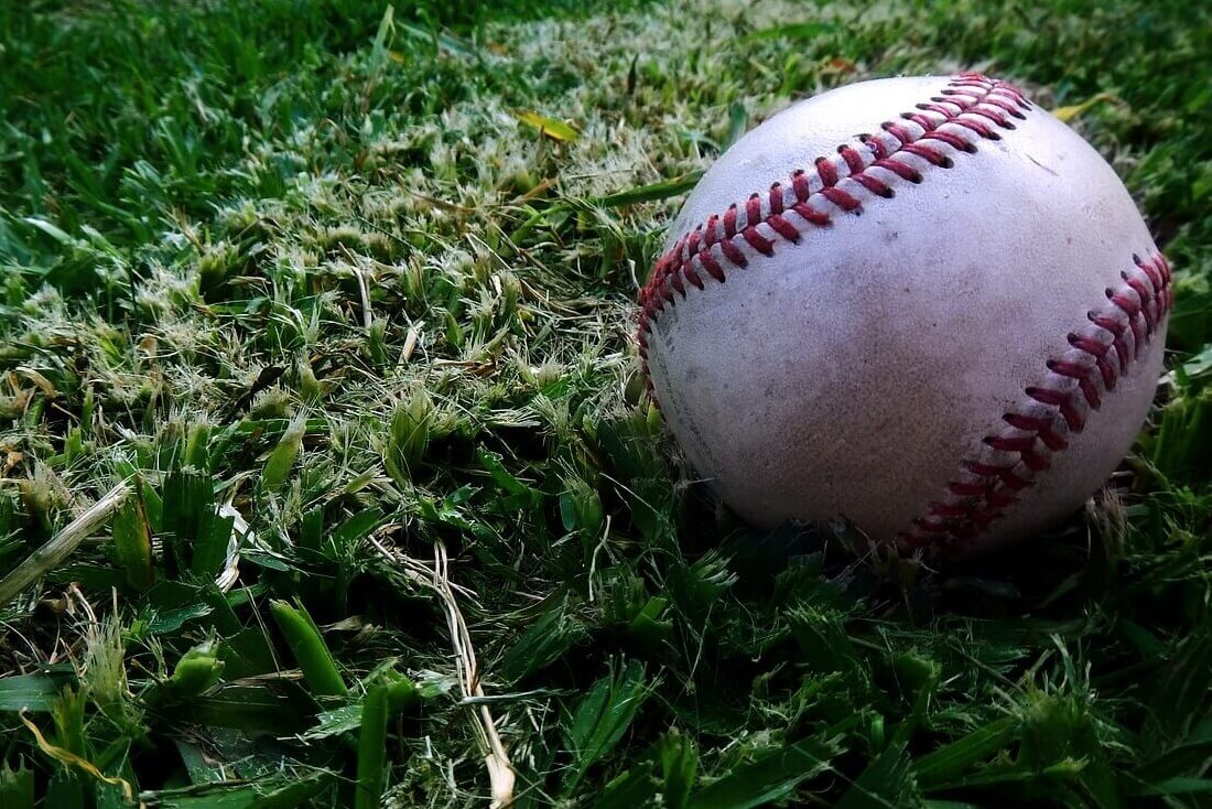 高校野球のプレイヤーは戦略的にプロテインを選択すべき