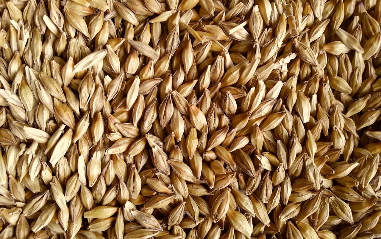 もち麦 押し麦はなにが違う 大麦の分類について Dflife ディーエフライフ