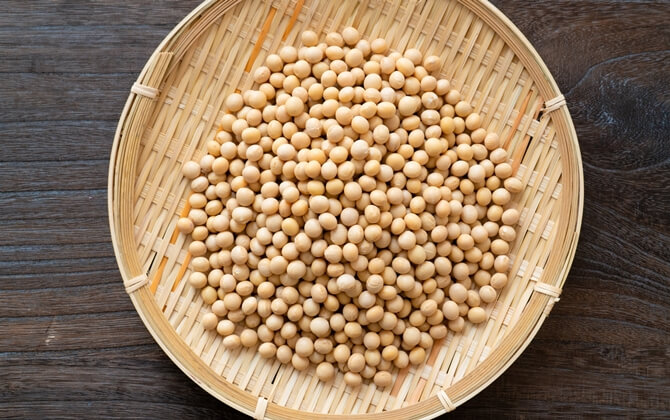 大豆食品の摂取目安量