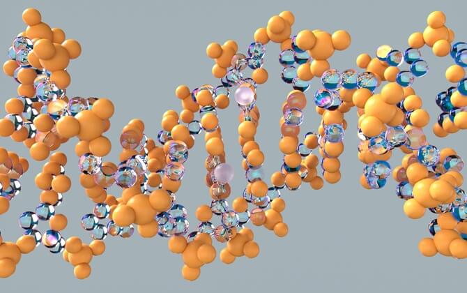 DNAに刻み込まれたアミノ酸のレシピからタンパク質ができるまで