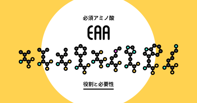 EAA（必須アミノ酸）とは？身体における役割と必要性