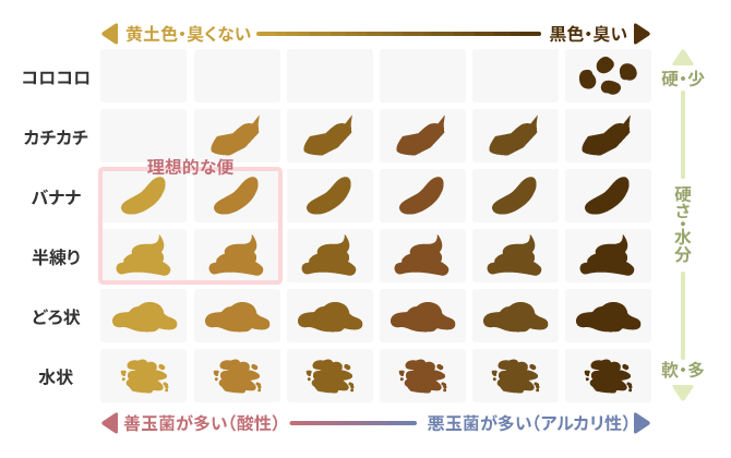 便の種類