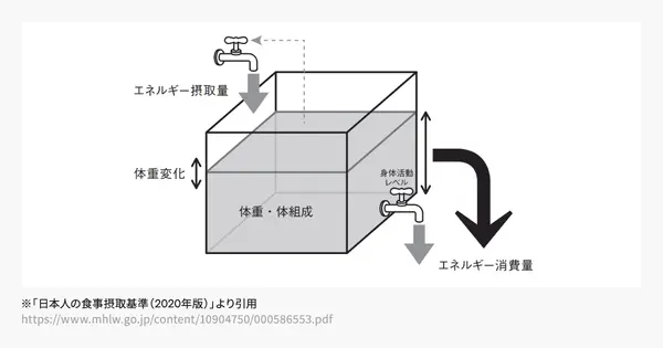 エネルギー摂取量とエネルギー消費の関係