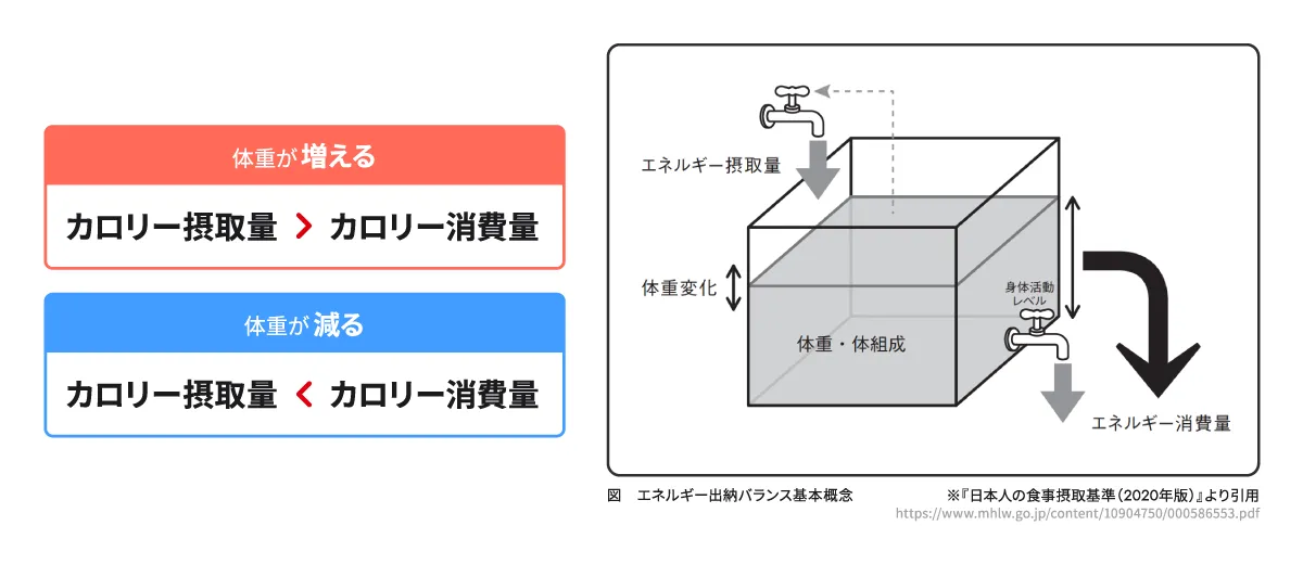 エネルギー出納バランス基本概念
