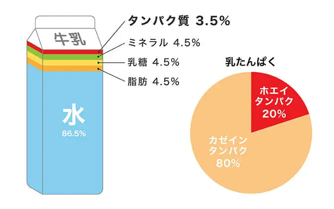 ホエイとカゼインの割合